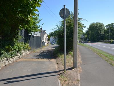 Picture 24